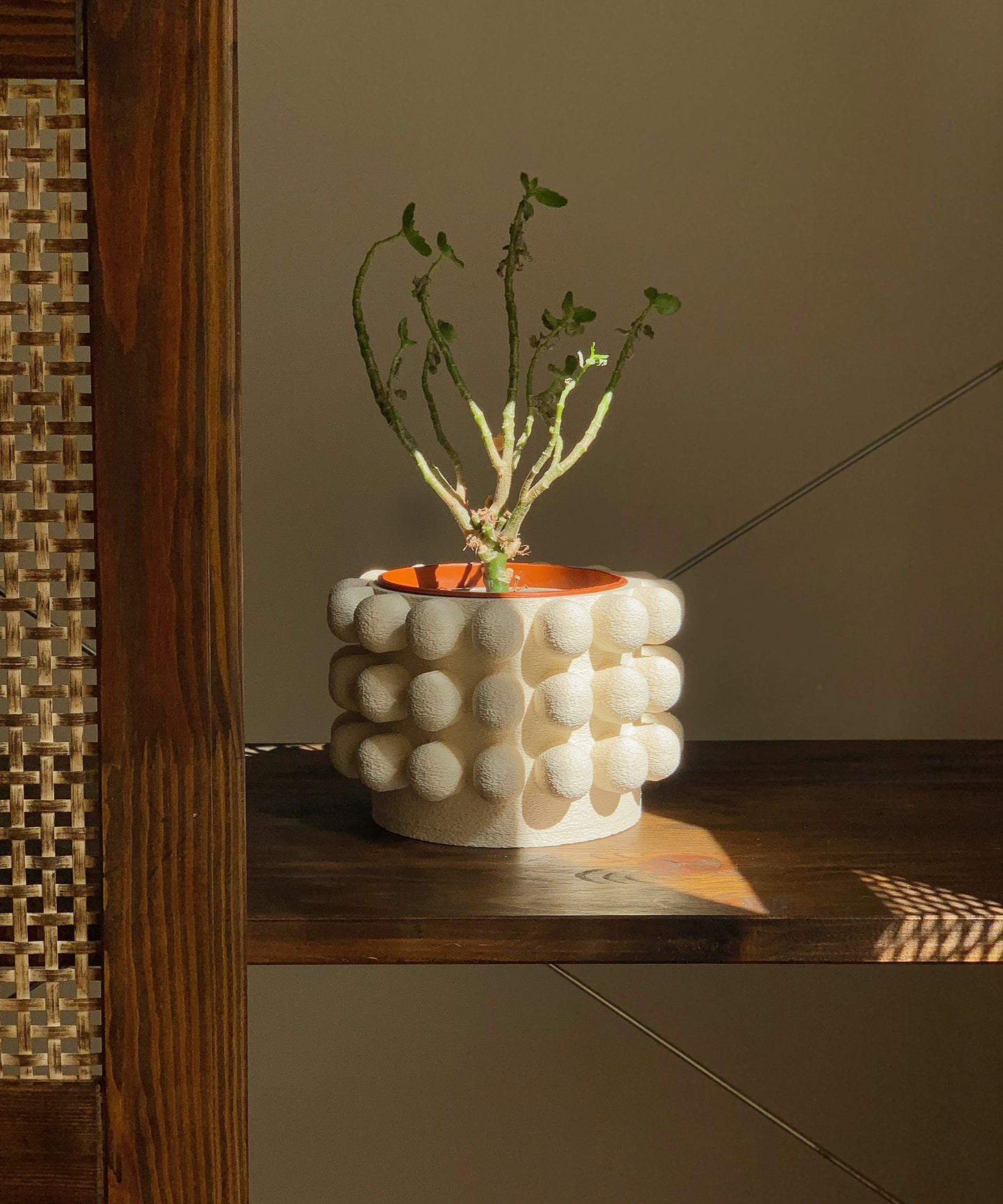A.Labs - Mono Plant Pot 02