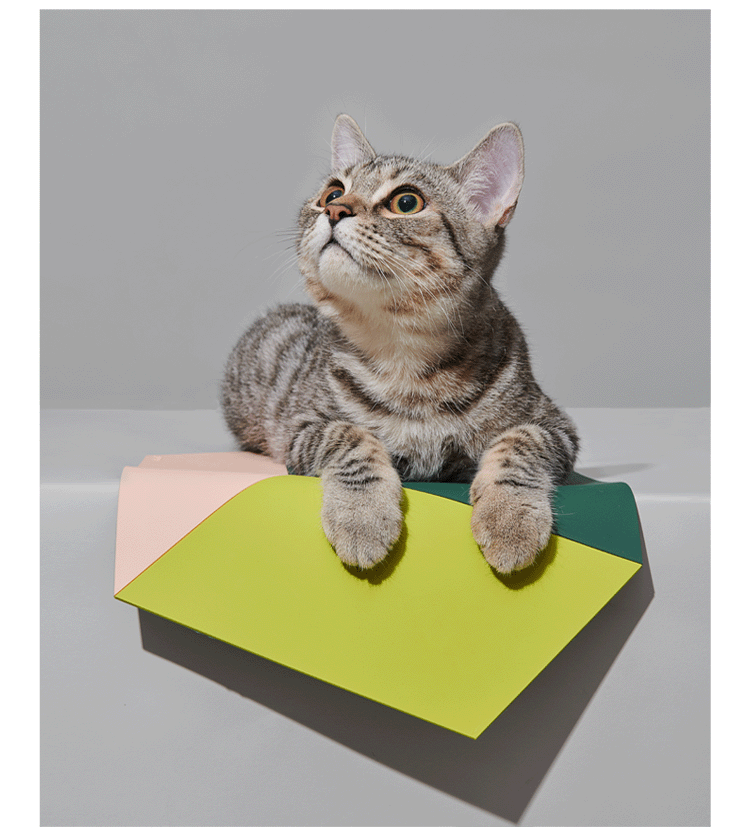 PuR3 - Waterproof Mat